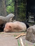 恩賜上野動物園に投稿された画像（2026/1/21）
