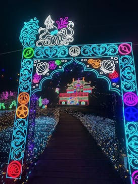 伊豆高原グランイルミに投稿された画像（2026/1/21）