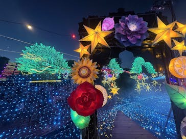 伊豆高原グランイルミに投稿された画像（2026/1/21）