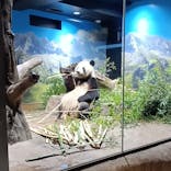 恩賜上野動物園に投稿された画像（2026/1/21）