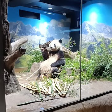 恩賜上野動物園に投稿された画像（2026/1/21）