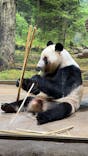 恩賜上野動物園に投稿された画像（2026/1/21）
