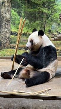 恩賜上野動物園に投稿された画像（2026/1/21）