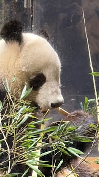 恩賜上野動物園に投稿された画像（2026/1/21）