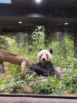 恩賜上野動物園に投稿された画像（2026/1/21）