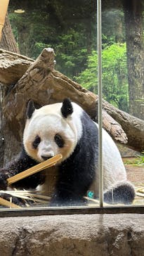 恩賜上野動物園に投稿された画像（2026/1/21）