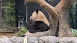 恩賜上野動物園に投稿された画像（2026/1/22）