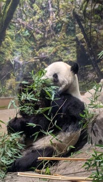 恩賜上野動物園に投稿された画像（2026/1/21）