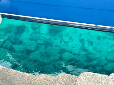 マリンスポーツ奄美に投稿された画像（2026/1/21）