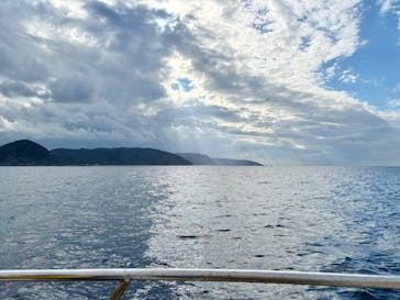 マリンスポーツ奄美に投稿された画像（2026/1/21）