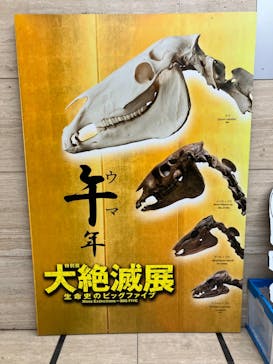 印象派オルセー展×大絶滅展に投稿された画像（2026/1/21）
