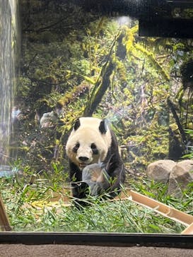 恩賜上野動物園に投稿された画像（2026/1/21）