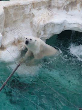 恩賜上野動物園に投稿された画像（2026/1/21）