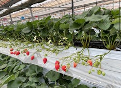 高津園に投稿された画像（2026/1/21）