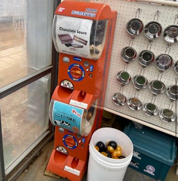 高津園に投稿された画像（2026/1/21）