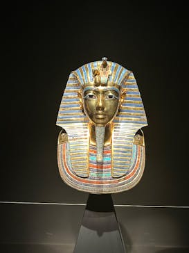 MYSTERY OF TUTANKHAMEN 体感型古代エジプト展に投稿された画像（2026/1/22）