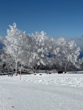 菅平高原スノーリゾートに投稿された画像（2026/1/22）