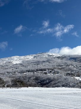 菅平高原スノーリゾートに投稿された画像（2026/1/22）