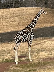 千葉市動物公園に投稿された画像（2026/1/22）