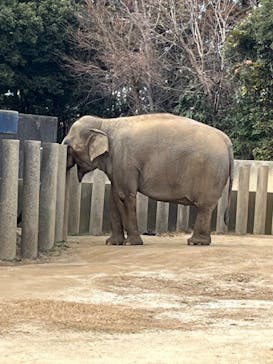 千葉市動物公園に投稿された画像（2026/1/22）