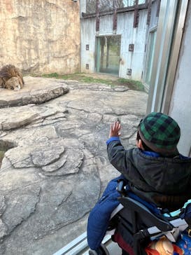 千葉市動物公園に投稿された画像（2026/1/22）