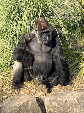 千葉市動物公園に投稿された画像（2026/1/22）