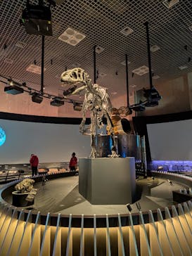 国立科学博物館に投稿された画像（2026/1/22）