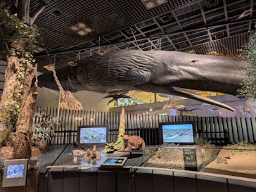 国立科学博物館に投稿された画像（2026/1/22）