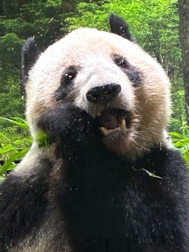 恩賜上野動物園に投稿された画像（2026/1/22）