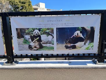 恩賜上野動物園に投稿された画像（2026/1/22）