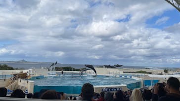 沖縄美ら海水族館に投稿された画像（2026/1/22）