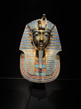 MYSTERY OF TUTANKHAMEN 体感型古代エジプト展に投稿された画像（2026/1/22）
