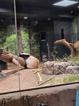 恩賜上野動物園に投稿された画像（2026/1/22）