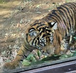 恩賜上野動物園に投稿された画像（2026/1/22）