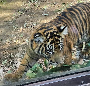恩賜上野動物園に投稿された画像（2026/1/22）