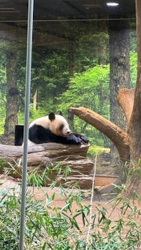恩賜上野動物園に投稿された画像（2026/1/22）