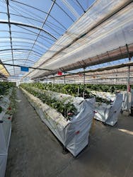 高津園に投稿された画像（2026/1/22）