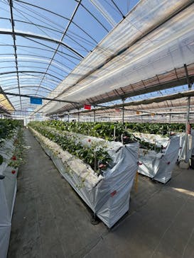 高津園に投稿された画像（2026/1/22）