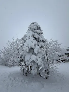 蔵王ロープウェイに投稿された画像（2026/1/22）