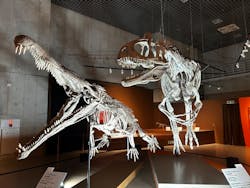 特別展「大絶滅展―生命史のビッグファイブ」に投稿された画像（2026/1/22）