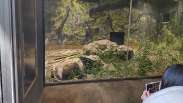 恩賜上野動物園に投稿された画像（2026/1/22）