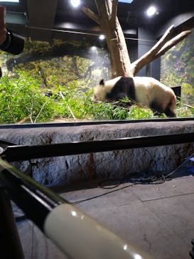 恩賜上野動物園に投稿された画像（2026/1/22）