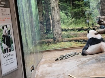 恩賜上野動物園に投稿された画像（2026/1/22）