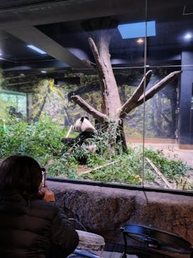 恩賜上野動物園に投稿された画像（2026/1/22）