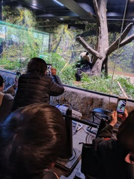 恩賜上野動物園に投稿された画像（2026/1/22）