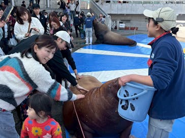 大分マリーンパレス水族館 「うみたまご」に投稿された画像（2026/1/22）
