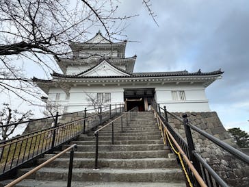 小田原城に投稿された画像（2026/1/22）