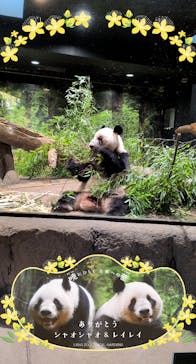 恩賜上野動物園に投稿された画像（2026/1/22）