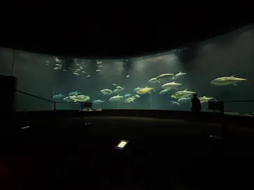 葛西臨海水族園に投稿された画像（2026/1/22）