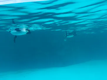葛西臨海水族園に投稿された画像（2026/1/22）